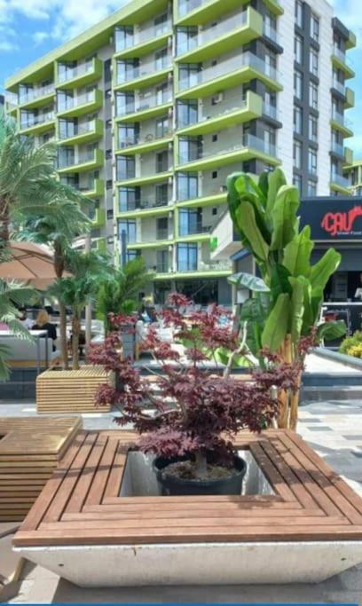 Alezzy Beach Apartament Prima Linie La Mare Năvodari Dış mekan fotoğraf